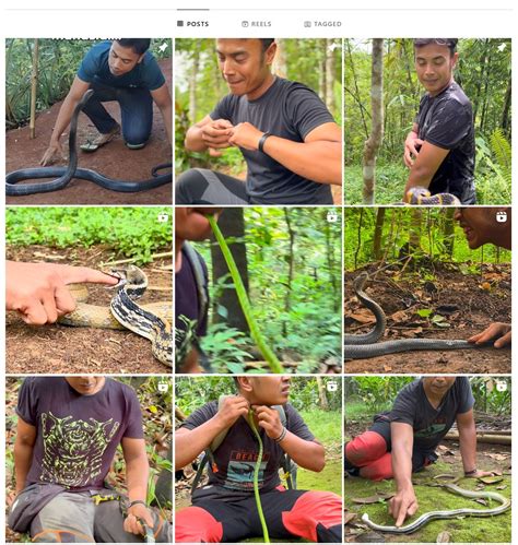 'Snake vs snake': Venomous snake bites influencer's nether regions & wouldn't let go