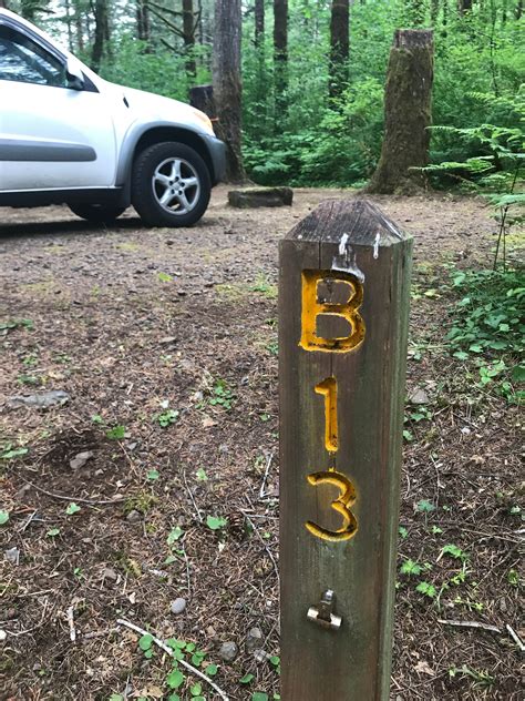 Jones Creek Camping | Tillamook, Oregon