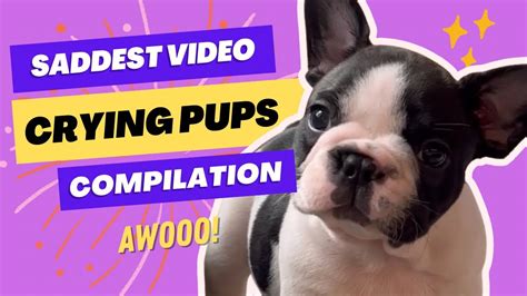 Image result for Tutorial Button Transparent PNG
