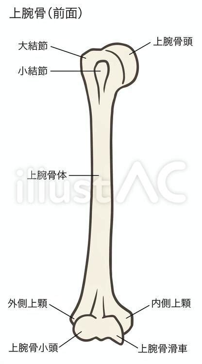 Image result for Alien Female Island