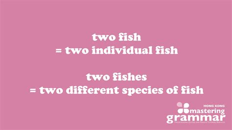 'Fish' or 'Fishes'? Which One Is Correct? | Mastering Grammar