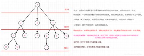 树 - 数据结构 教程 | BootWiki.com