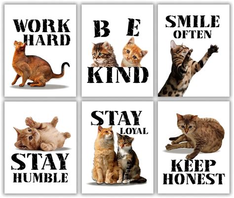 Amazon.com: MTL HOE Motivational Cat Art Print, Cat Wall Art Poster ...