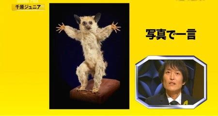 Image result for Web HTML Basic