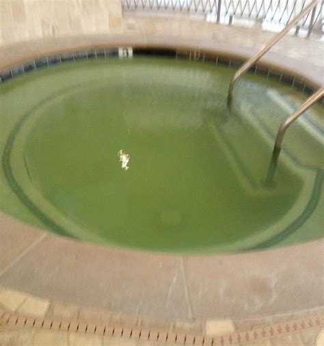 CJ GRAND SPA - All You Need to Know BEFORE You Go 2026 (with Photos ...