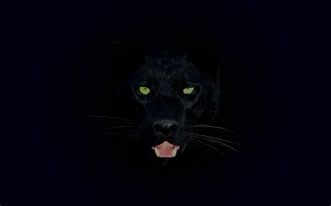Black Jaguar Wallpapers - Top Free Black Jaguar Backgrounds - WallpaperAccess
