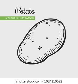 Image result for Potato Man Project Python Coding