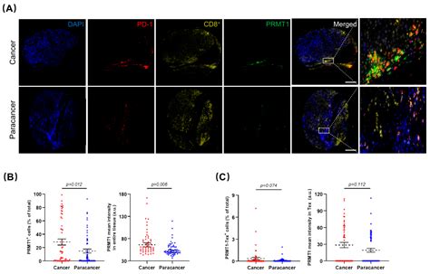 Integrative Evaluation of the Clinical Significance Underlying Protein ...