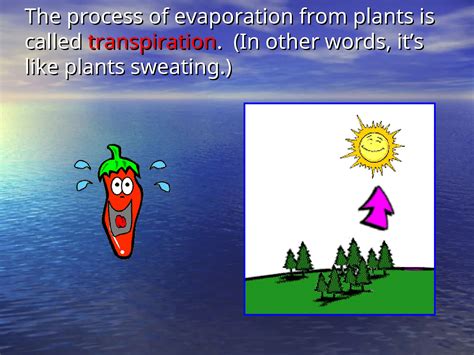 stages of the water cycle science presentation | PPT
