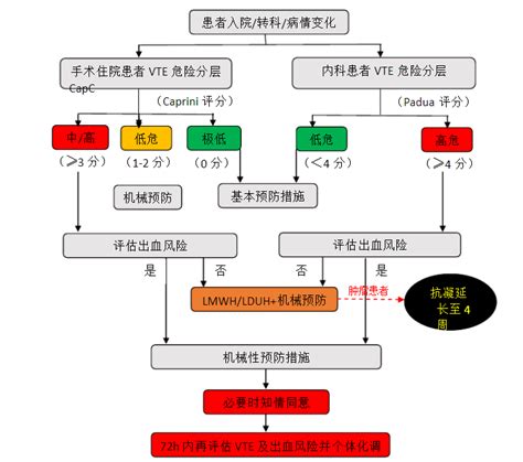 肿瘤患者VTE的预防-健康科普-护理天地-太和县人民医院