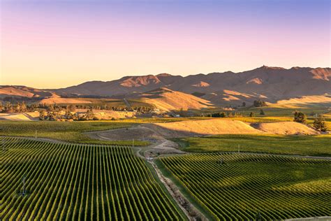 New Zealand's Wine Regions