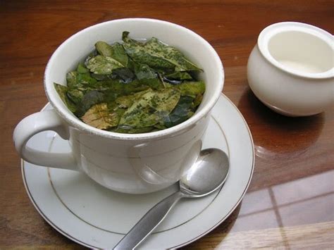 小花趴趴走: 【秘魯】古柯茶Coca Tea