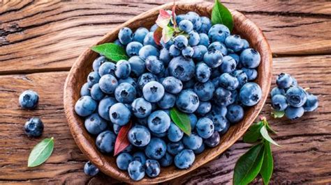 蓝莓唯美小清新全屏壁纸图片(7680x4320) - 8K食物高清壁纸 - 壁纸之家