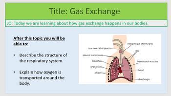 Image result for Free Science Lessons Gas Exchange