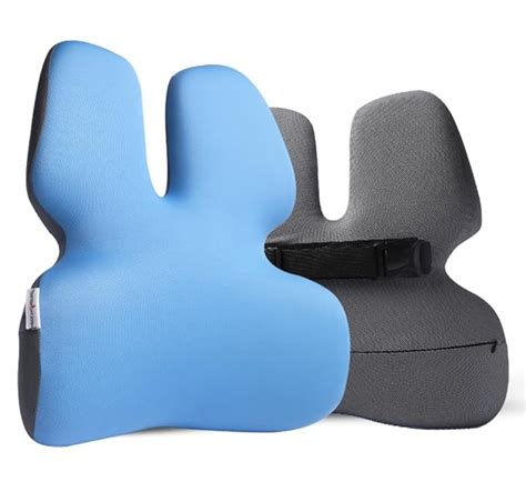 HealthSense Luxury Back Support for Chair, Car Seat Back Rest Support ...