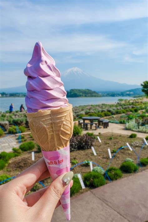 The complete guide to Fujikawaguchiko, Japan