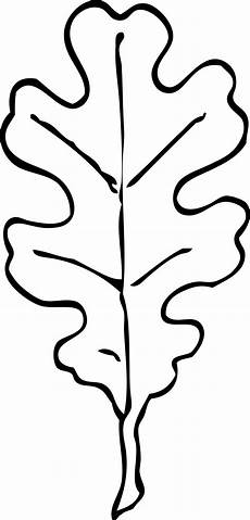 Leaf Clipart Black And White by Free Leaf Images Black And White Free Clip Leaf Clipart Black And White