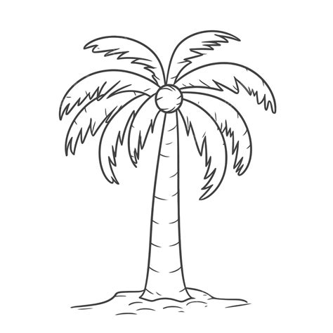 Palm Tree Coloring Pictures To Draw In Outline Sketch Drawing Vector ...