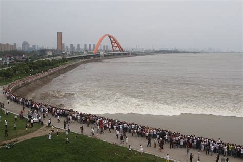 Qiantang River Tidal Bore in China 2024 - Rove.me