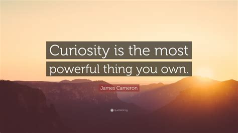 Quotes About Curiosity