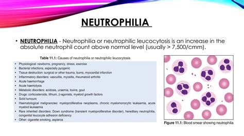 Disorders of leukocytes lecture and presentation | PPTX