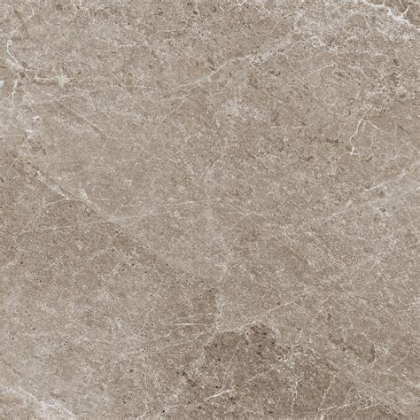 Tesoro 24" x 24" Advance Rectified Matte Porcelain Tile - Shop Flooring ...