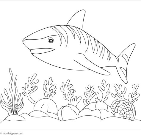 Tiger Shark Coloring Sheet