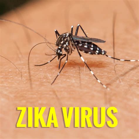 What is the Zika virus? - Alternative Earthcare