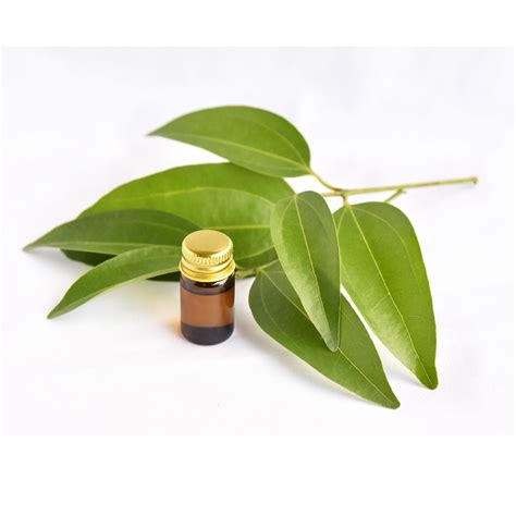 E-Ingredient – The Man Company