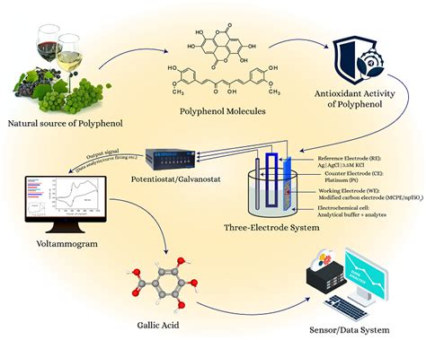 Advanced Voltametric Characterization of Polyphenols in Wine Using a ...