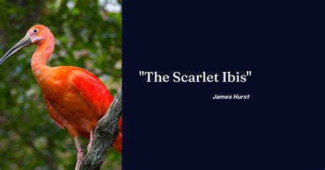 "The Scarlet Ibis"