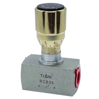 Image result for Bi-Directional Flow Control Valve Works