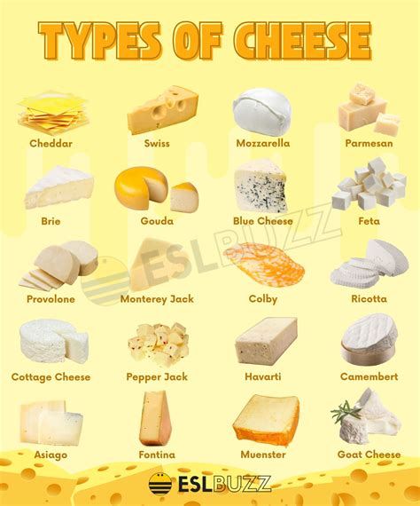 Types of Cheese: Amazing Cheese Types for Cheese Lovers - ESLBUZZ - examples of unprocessed cheese