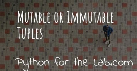 Image result for Mutable and Immutable