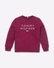 Buy Purple Sweatshirts & Hoodie for Boys by TOMMY HILFIGER Online ...