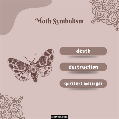 Moth Symbolism: Culture, Dreams, Omens (Full Guide)