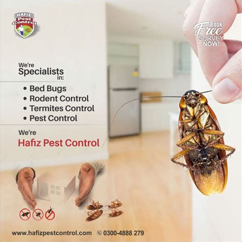 Cost Pest Control The Villages at Keith Maxey blog