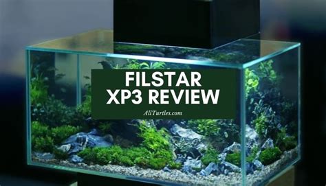 Image result for API XP L XP3 Filter