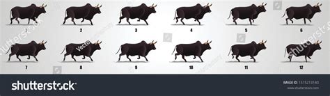 Run Animation 的图像结果