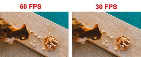 FPS Example 的图像结果