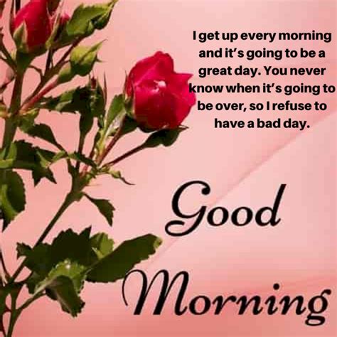 180+ Great Good Morning Rose Images and Wishes - Good Morning Wishes