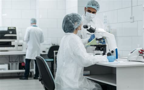 Machine Learning Real-World Examples 的图像结果