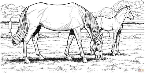 horse coloring pages for kids Fun horse coloring pages for your kids ...