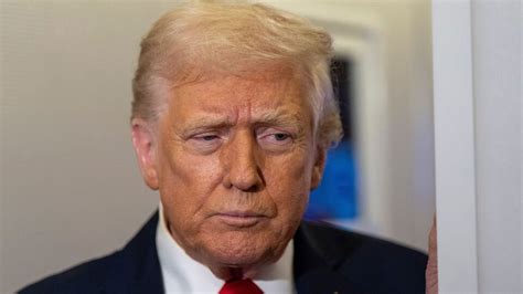 'Never worked so hard in my life': Donald Trump slams NYT reporter over ...