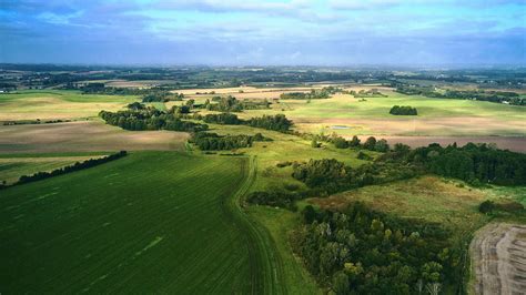Denmark is returning 15% of its farmland back to nature - Fast Company
