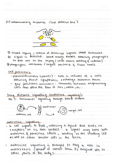 SOLUTION: Ap biology unit 4 cell communication cell cycle revision ...