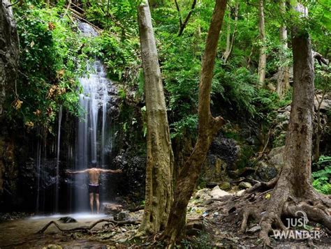 Trek day: Ubbalamadugu Waterfalls, Chennai, India, 16 March 2024 ...