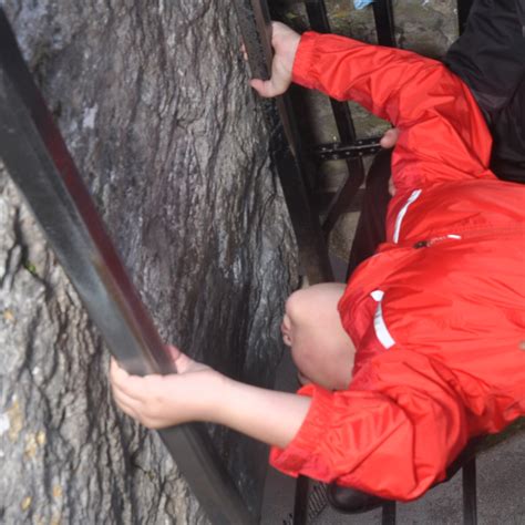 Kissing the Blarney Stone | Kid Reporters' Notebook | Scholastic Inc.