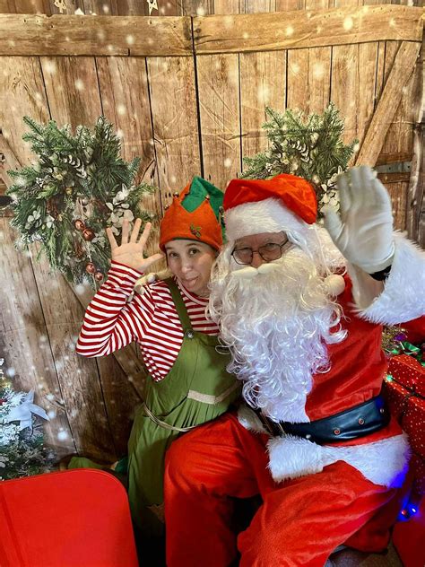Santa, Cheeky Elves, Animals, Crafts and more, Brereton & Ravenhill ...