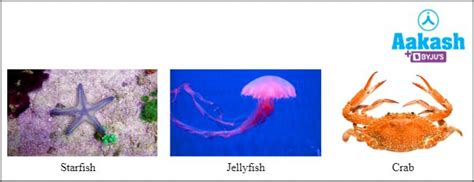 Water, Practice Problems and FAQs in Biology: Definition, Types and ...